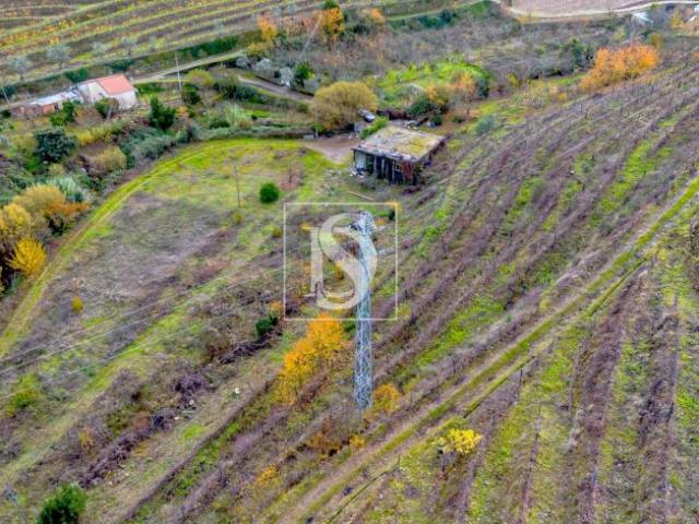 Lamego Viseu 97850365