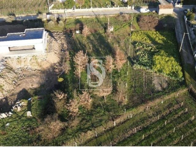 Lamego Viseu LS98365274