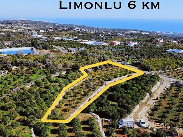 LAMOS GAYRİMENKUL'den SATILIK DENİZ MANZARALI ARSA