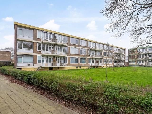 Lampsinsstraat, 19, 3078JH, Rotterdam, Zuid Holland 3078JH