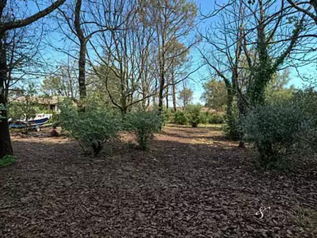 Lanton 33138 Achat / Vente terrain