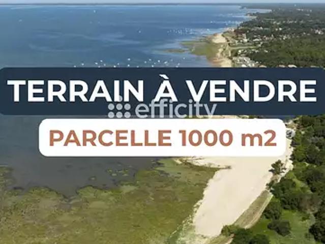 Lanton 33138 Achat / Vente terrain