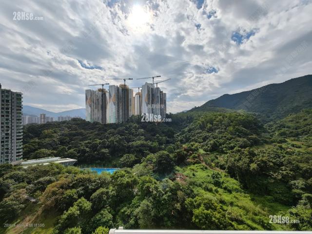 嵐山 #3818 售盤樓盤詳細資料
