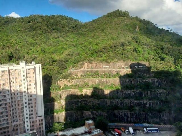 藍田, 康盈苑的單位