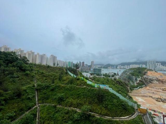 藍田, Koko Hills的單位