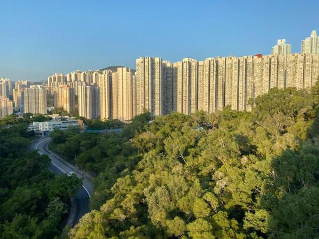 藍田, Koko Hills的單位