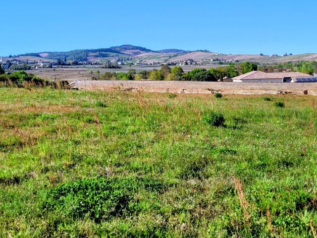 LANCIE 69220 TERRAIN 410m2 LIBRE CONSTRUCTEUR