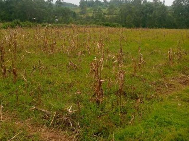 Land on sale