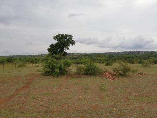 land on the market in thohoyandou