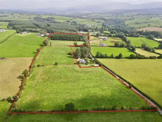 Land At Knockroe 11.8 Acres Approx. Colligan, Dungarvan, Co.