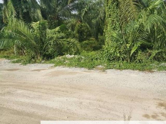 Land at Telok Panglima Garang Kuala Langat Klang For Sale