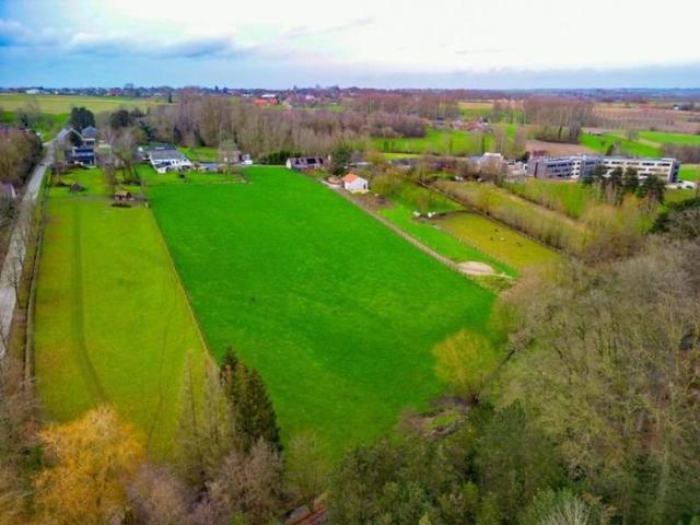 LAND à vendre à Elst