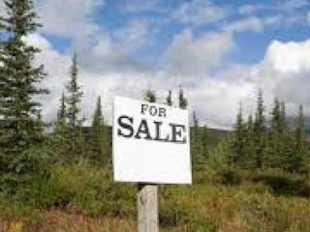 Land And/or Cabin Needed For Emf Sensitive Person