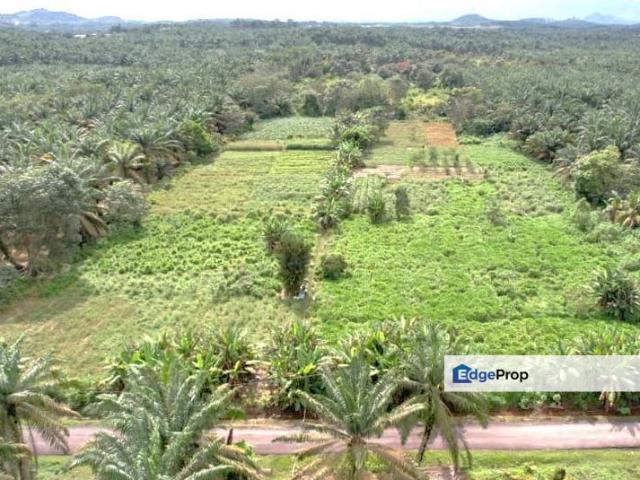 Freehold Land Area @ Kulai