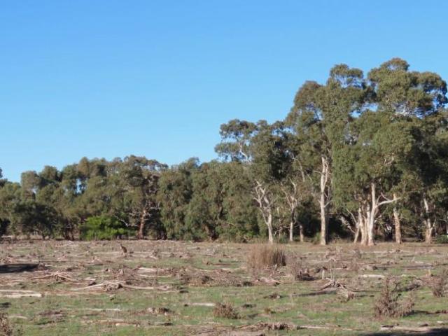 Land For Rent Coles SA 4100000 ES101909335