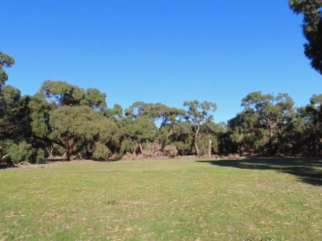 For Rent Land Coles SA DS101909335