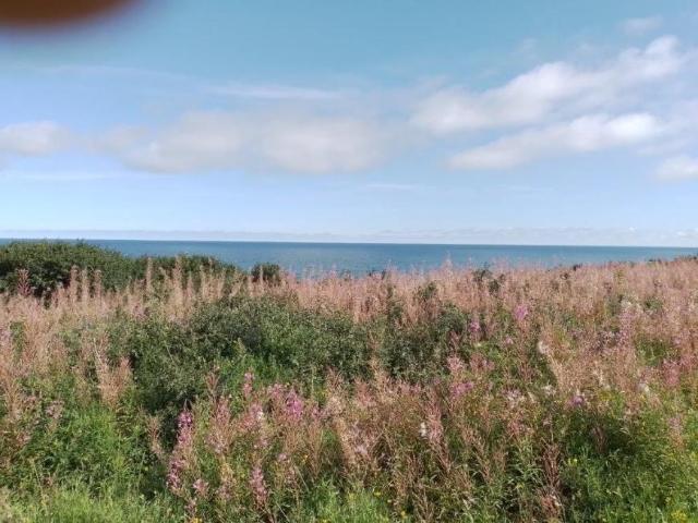 Land Courtaparteen County Cork 103922889