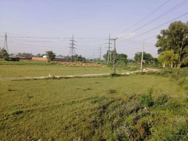 Land for rent opsite p&d society Lahore P & D Housing Society ID 13001