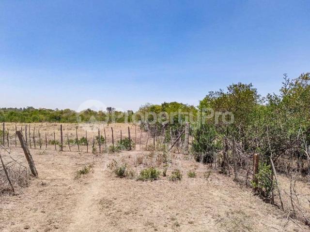 Land for sale Mukima, Nanyuki PID: 7AWYM | PropertyPro