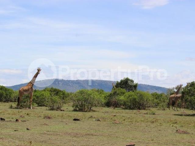 Land for sale Maasai Mara, Narok PID: 0AYVZ | PropertyPro