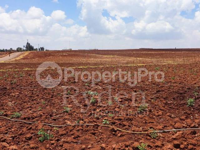 Land for sale Maritati Centre, Timau, Nanyuki PID: 7AXEN | PropertyPro