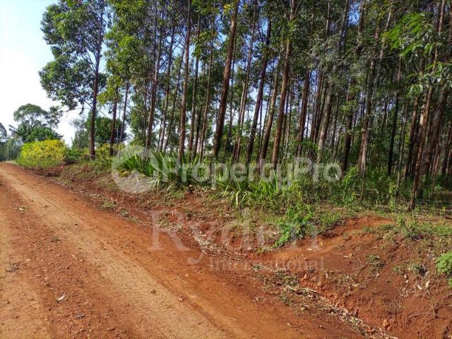 Land for sale Nyamataro near Kisii Town, Bonchari Kisii PID: 2AXMC | PropertyPro