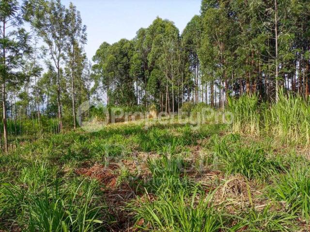 Land for sale Nyamataro near Kisii Town, Borabu Nyamira PID: 5AWWK | PropertyPro
