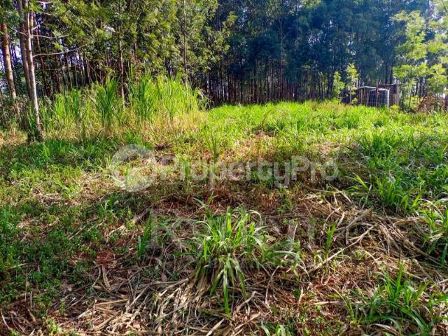 Land for sale Nyamataro near Kisii Town, Nyaribari Chache Kisii PID: 0AXBS | PropertyPro