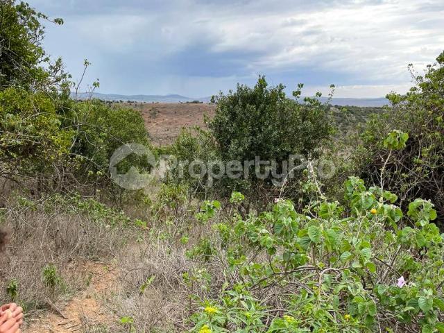 Land for sale near Borana Conservancy and Ngare Ndare Forest, Timau, Nanyuki PID: 5AXEQ | PropertyPro