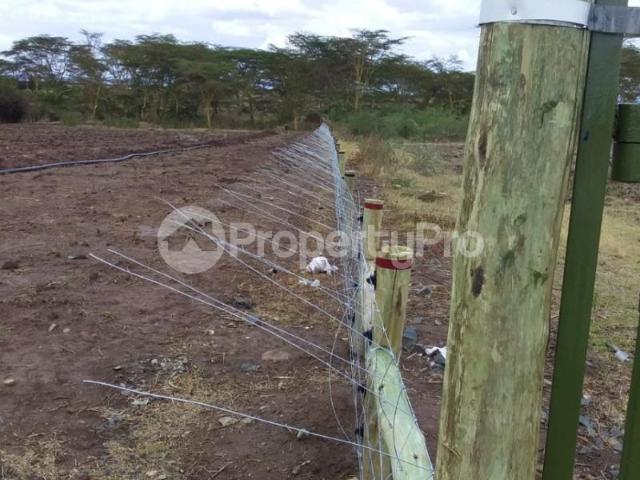 Land for sale Near Segera and Olpejeta, Nanyuki PID: 1AWWQ | PropertyPro