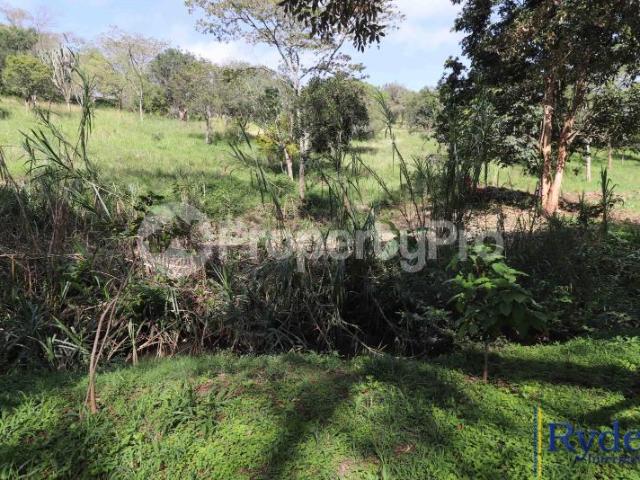 Land for sale off Koibotos Rd, Karen Nairobi PID: 0AXBP | PropertyPro