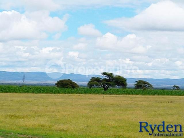 Land for sale Off Maasai Mara Sekenani Road, Mara Narok PID: 6AXLU | PropertyPro