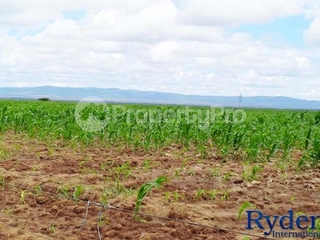 Land for sale Off Maasai Mara Sekenani Road, Narok PID: 6AXES | PropertyPro