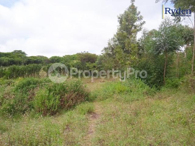 Land for sale off Merisho Road, Ngong Matasia, Ngong Kajiado PID: 4AYTJ | PropertyPro