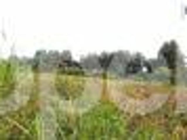 Land for sale off Old Namanga Road, Kisaju Kitengela PID: 9AXLM | PropertyPro