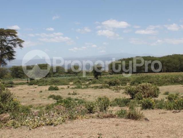 Land for sale on Moi South Road, Naivasha East Nakuru PID: 5AWZZ | PropertyPro