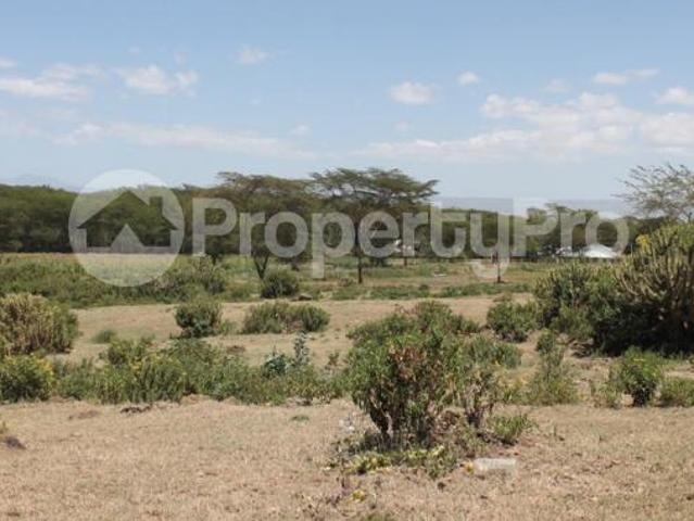 Land for sale on Moi South Road, Naivasha East Nakuru PID: 7AXDU | PropertyPro