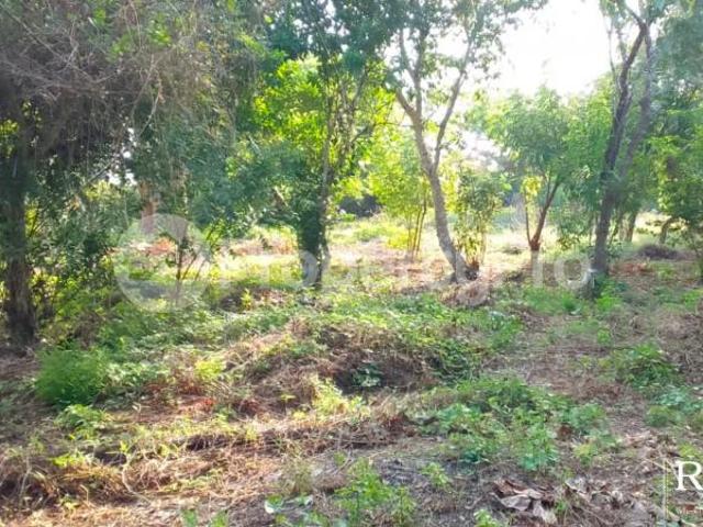 Land for sale on Turtle Bay Road, Watamu PID: 2AYGK | PropertyPro