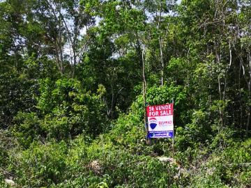 LAND FOR SALE AT KM 12 ON THE ROAD SIDE IN MACARIO GÓMEZ