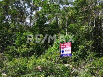 LAND FOR SALE AT KM 12 ON THE ROAD SIDE IN MACARIO GÓMEZ
