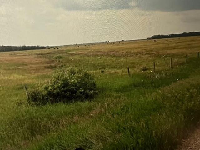 Land For Sale By Tender