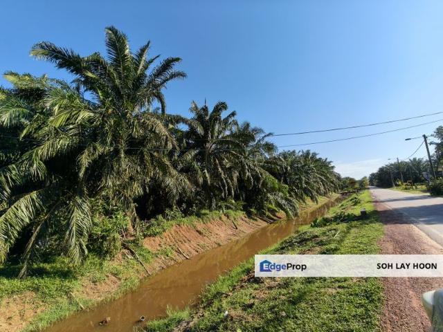 Land for sale, Bakri, Muar