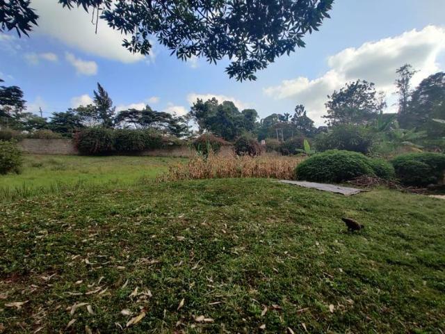 Land For Sale In Nyari