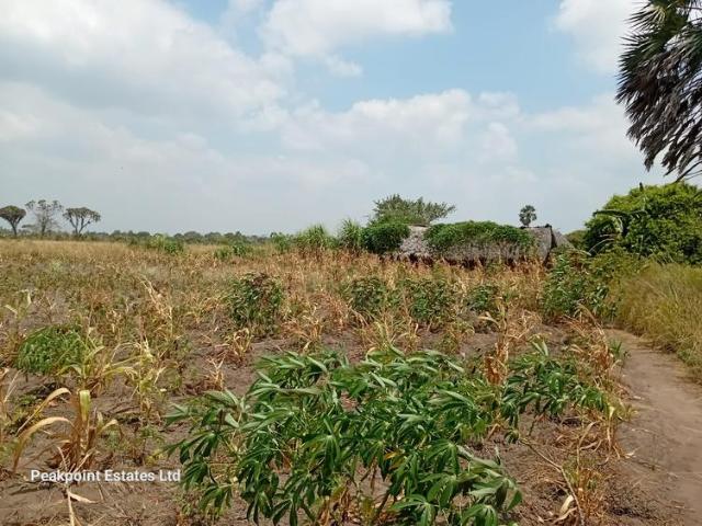 Land for sale at Kwale Shimoni