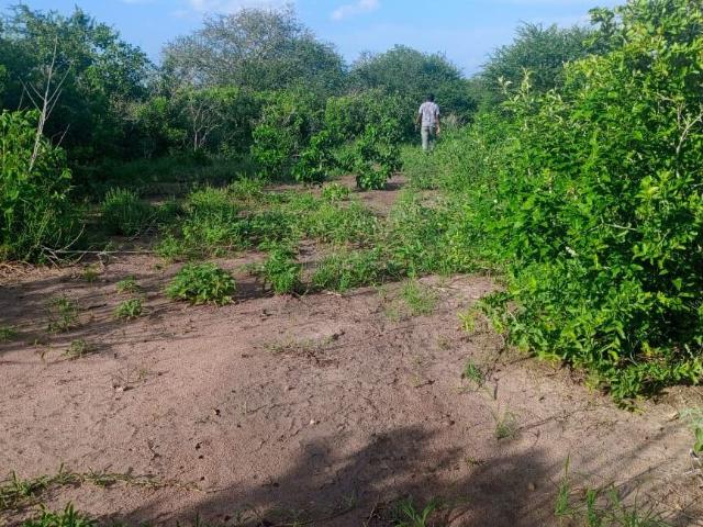 Land for Sale in Rumuruti 100