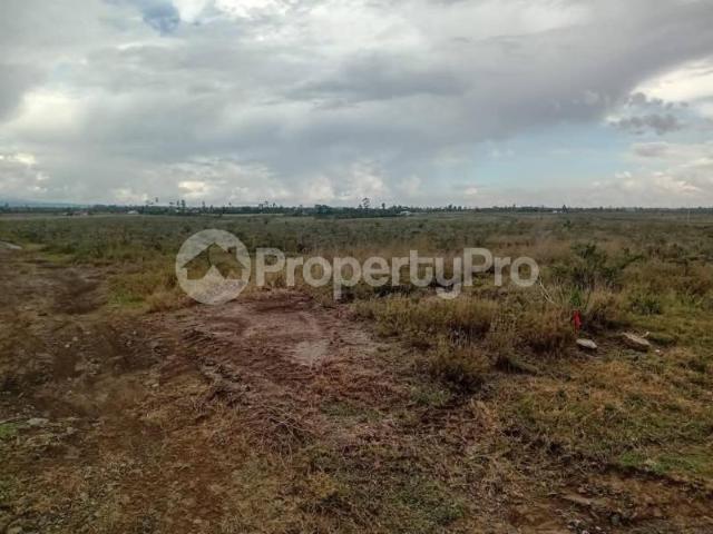 Land for sale kabanga matanya, nanyuki pid: 0bgyw | PropertyPro Kenya