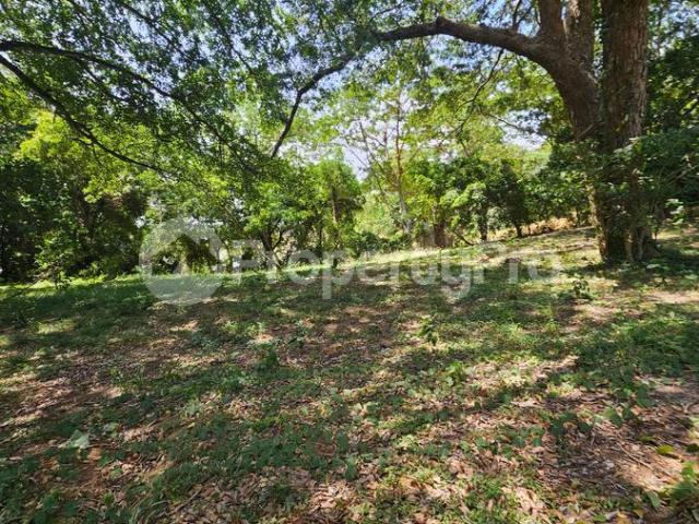 Land for sale Kikambala Kilifi PID: 3BFVW | PropertyPro