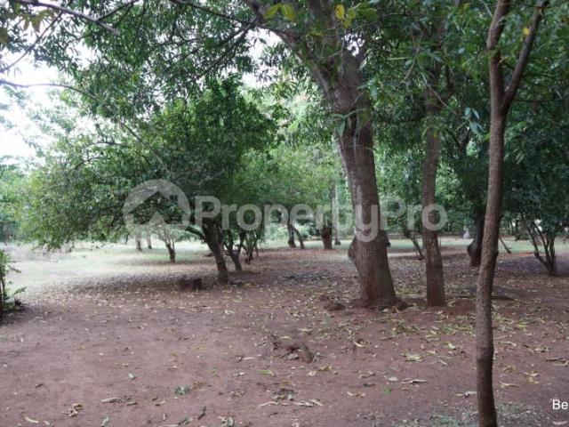 Land for sale Kikambala Kilifi PID: 7BGAF | PropertyPro