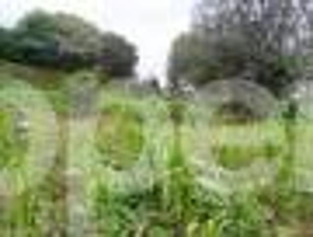 Land for sale Kikuyu Town road, Thogoto Kikuyu PID: 7AXJN | PropertyPro