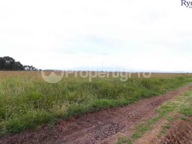 Land for sale Lusoi Paddocks, Naromoru Nyeri PID: 7AWZX | PropertyPro